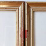 Red bird frame