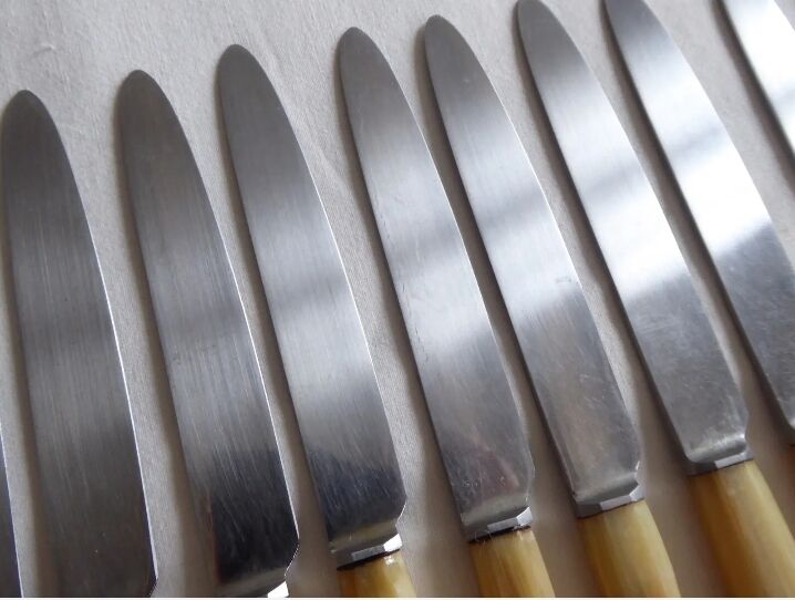 12 fruit knives, dessert. horn handle. length 19 cm