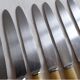 12 fruit knives, dessert. horn handle. length 19 cm