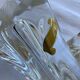Paire de pieds de lampe en cristal