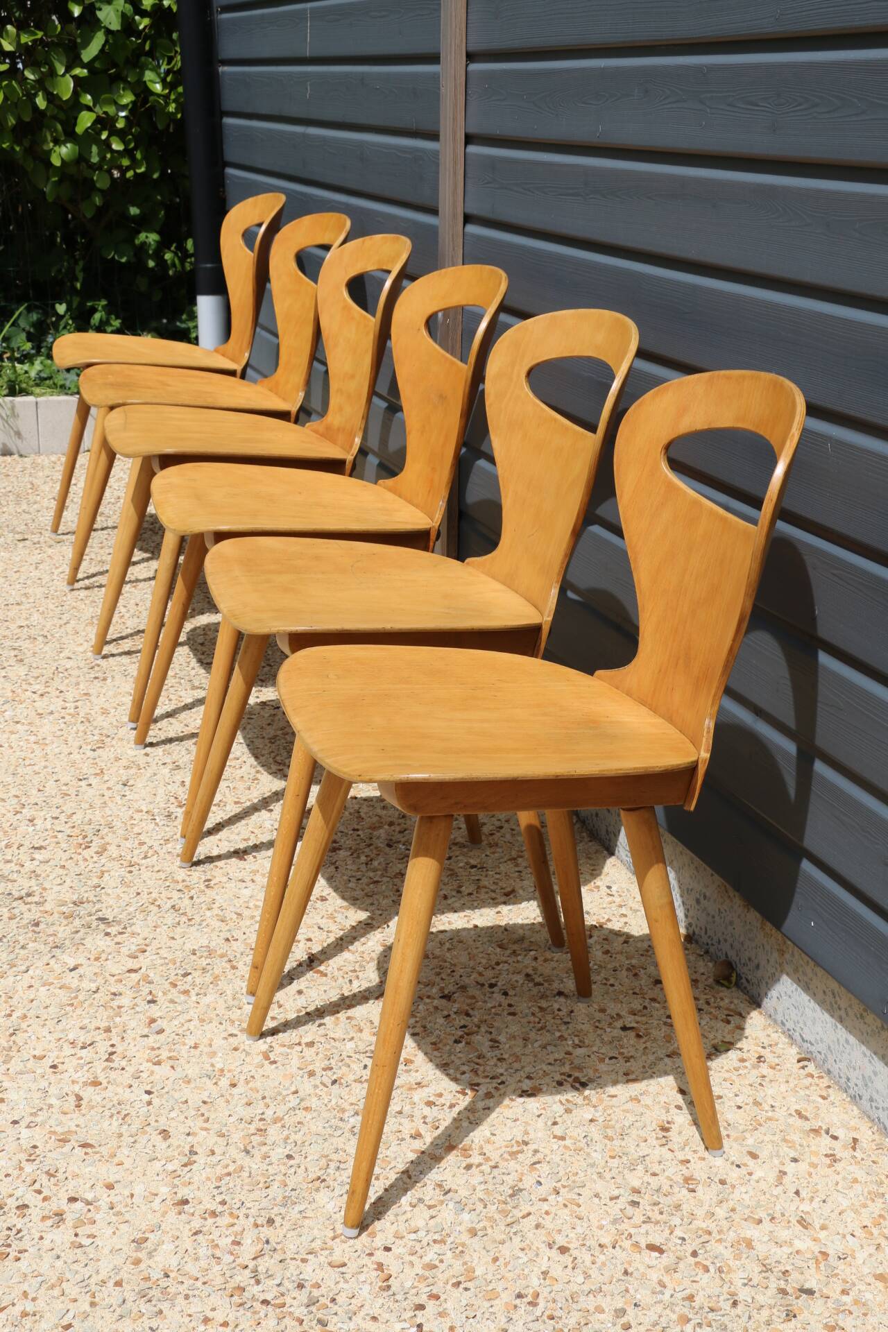 6 BAUMANN V2 chairs in light beech