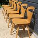 6 BAUMANN V2 chairs in light beech