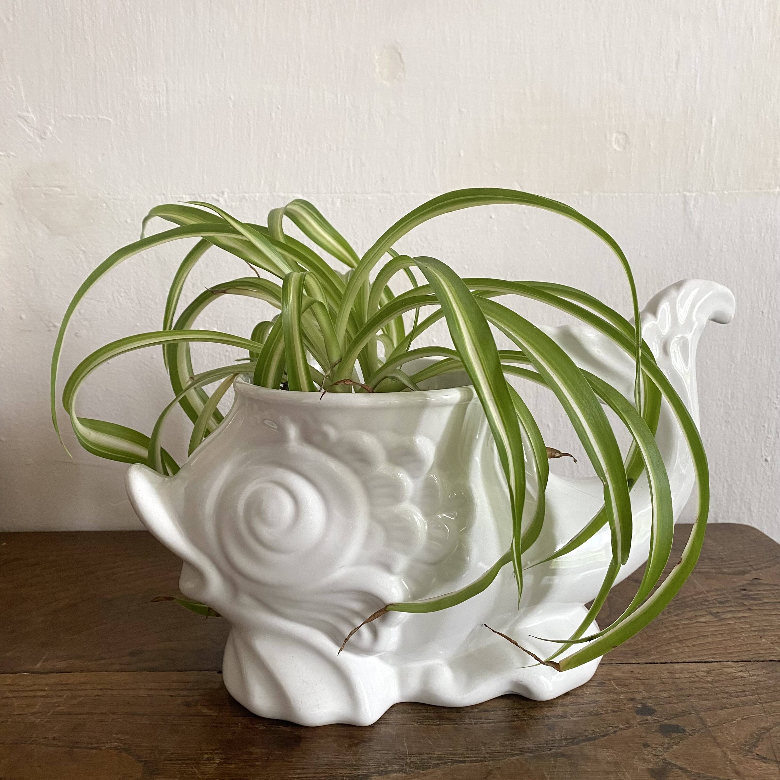 Zoomorphic fish pot cover in slip