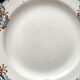 6 flat plates in ironstone "Diderot" Longwy