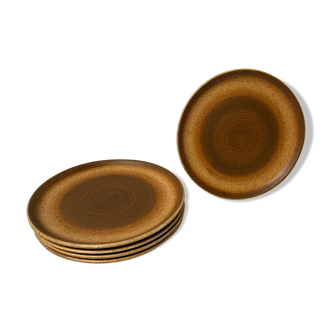 Set of 5 vintage stoneware plates