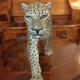 Leopard or cheetah