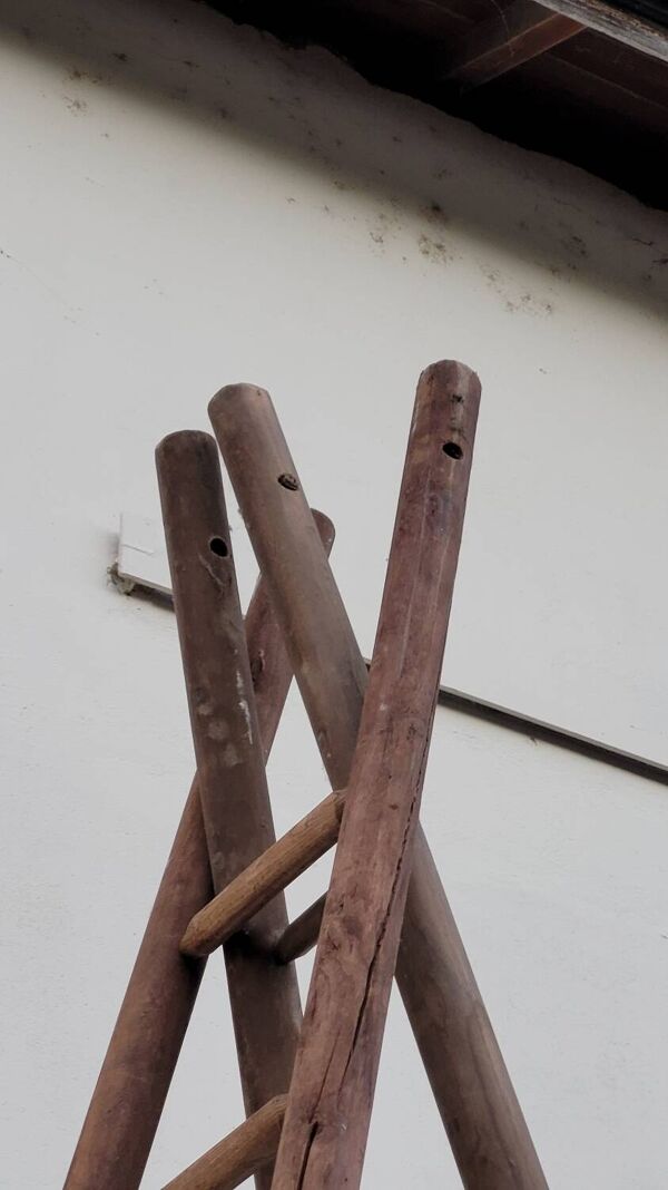 Echelle double de maraîcher récolte fruitière cueillette ancienne en bois -3m65
