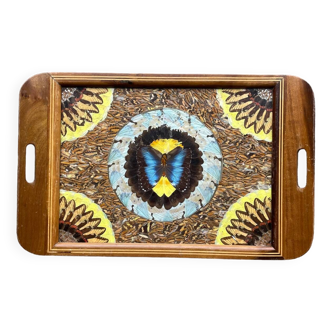 Morpho butterfly wing decor tray