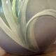 Vase Art nouveau en porcelaine signé Franz