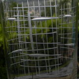 Set of 8 glass water glasses 1950s