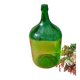 Superbe dame jeanne ancienne en verre vert