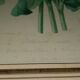 Lithographie de fleurs