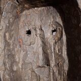 Mask of the diviner from West Africa