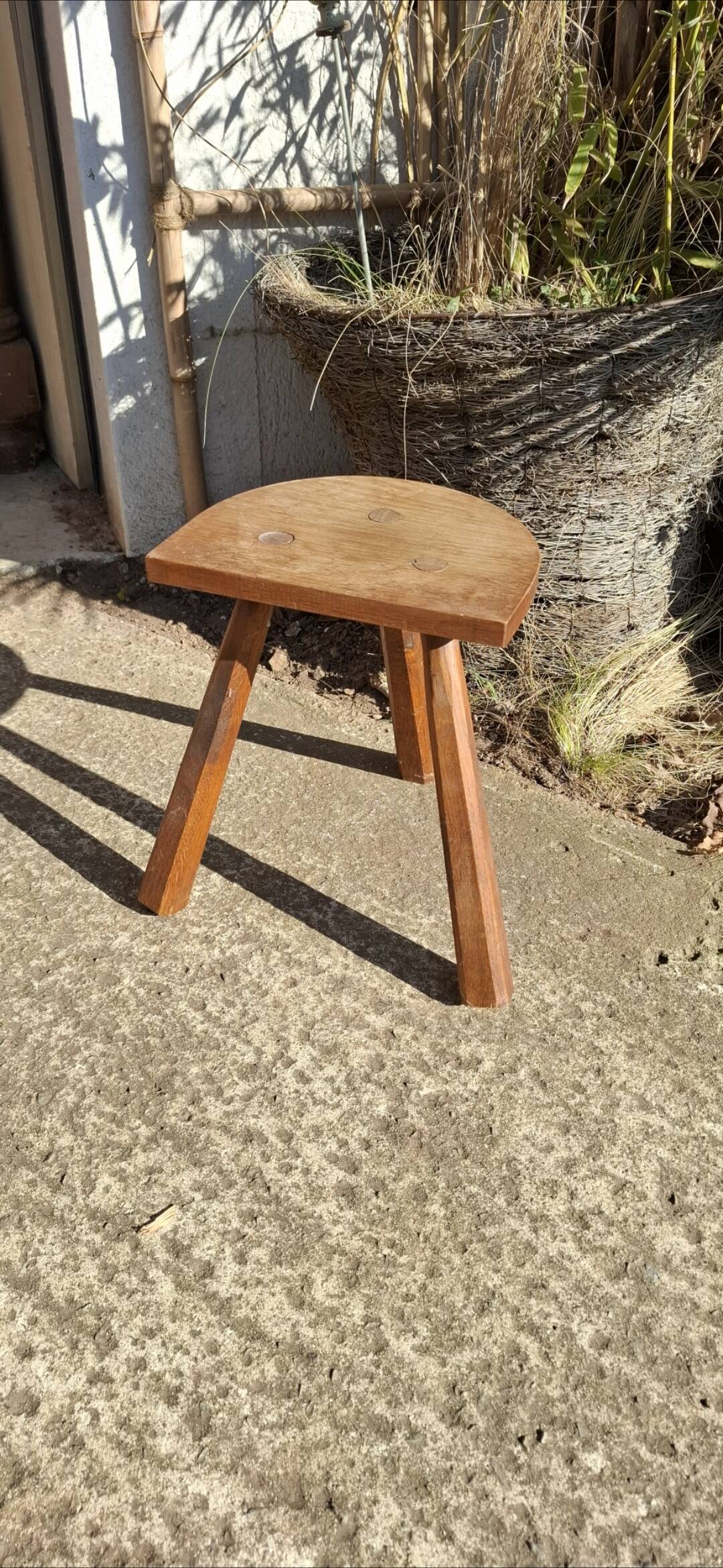 Oak tripod