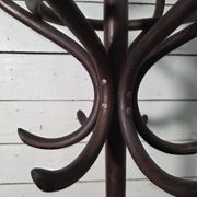Perroquet en bois courbé ancien 