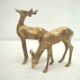 Duo doe and brass deer