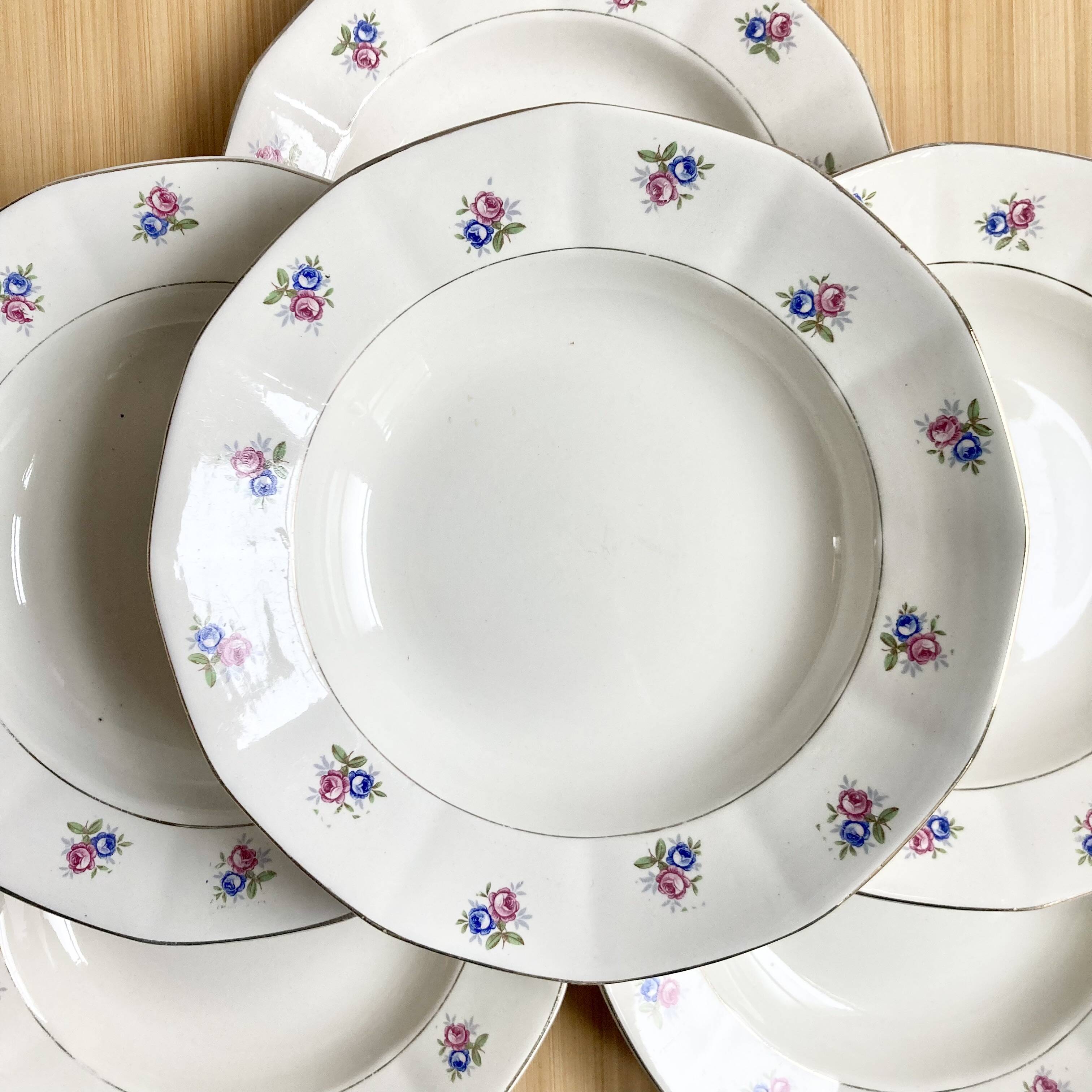 6 Digoin soup plates