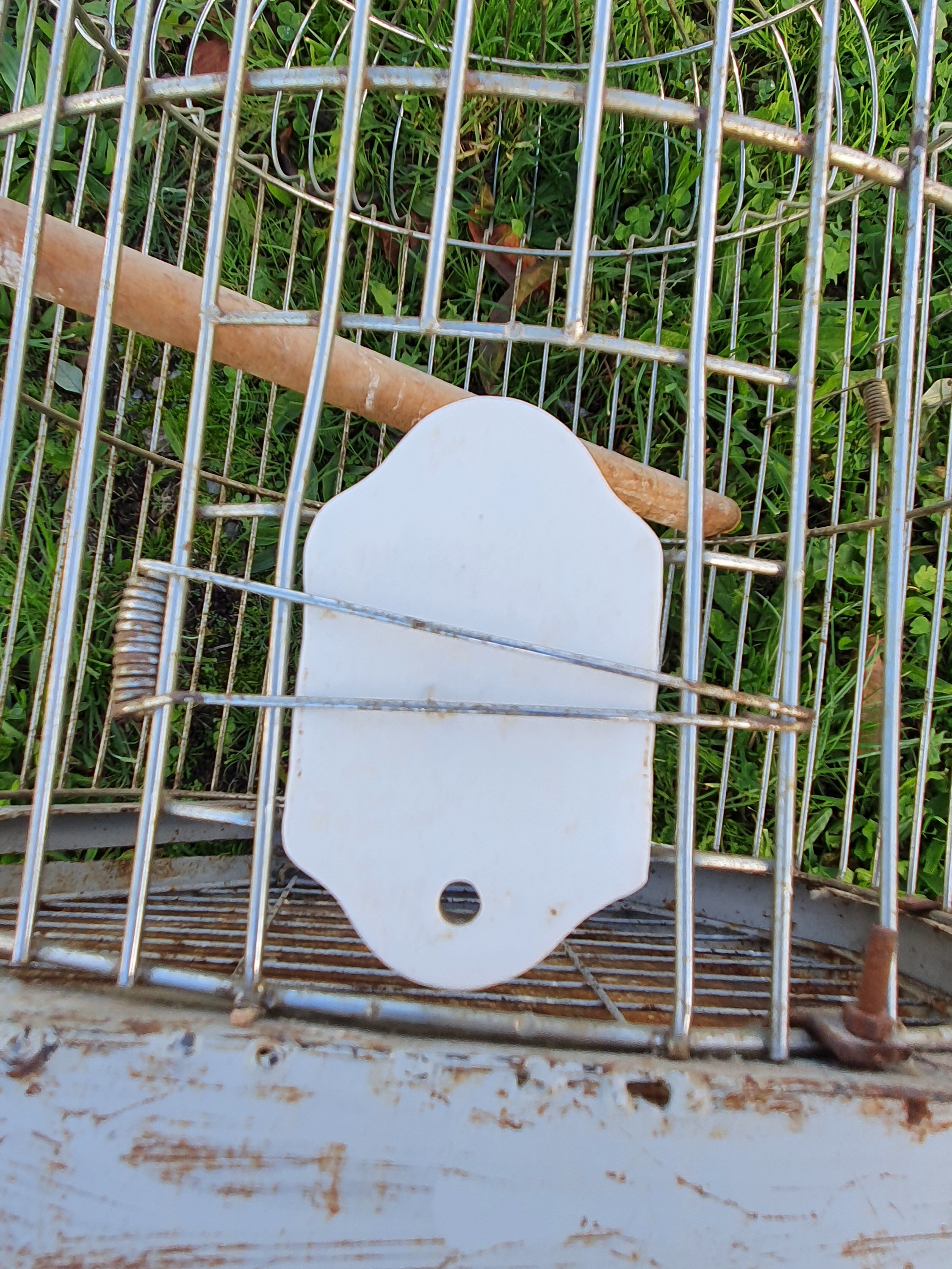 Large old iron parrot cage