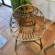Two rattan shell chairs, 1960s