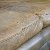2.5 seater leather chesterfield sofa in a moss green color