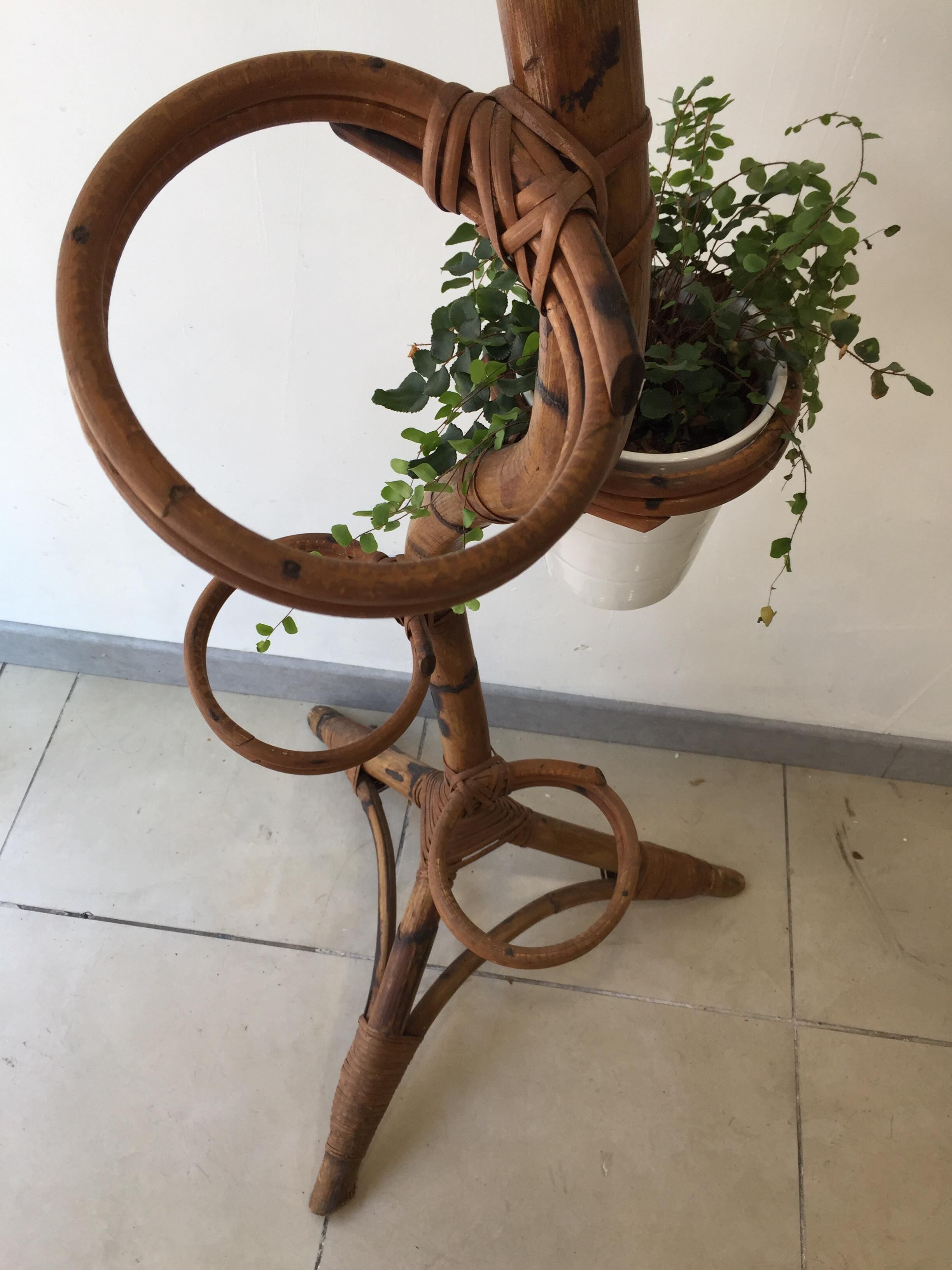 Support for plants