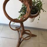 Support for plants