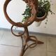 Support for plants