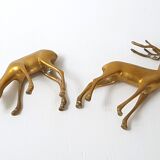 Golden brass deer & DOE 1970