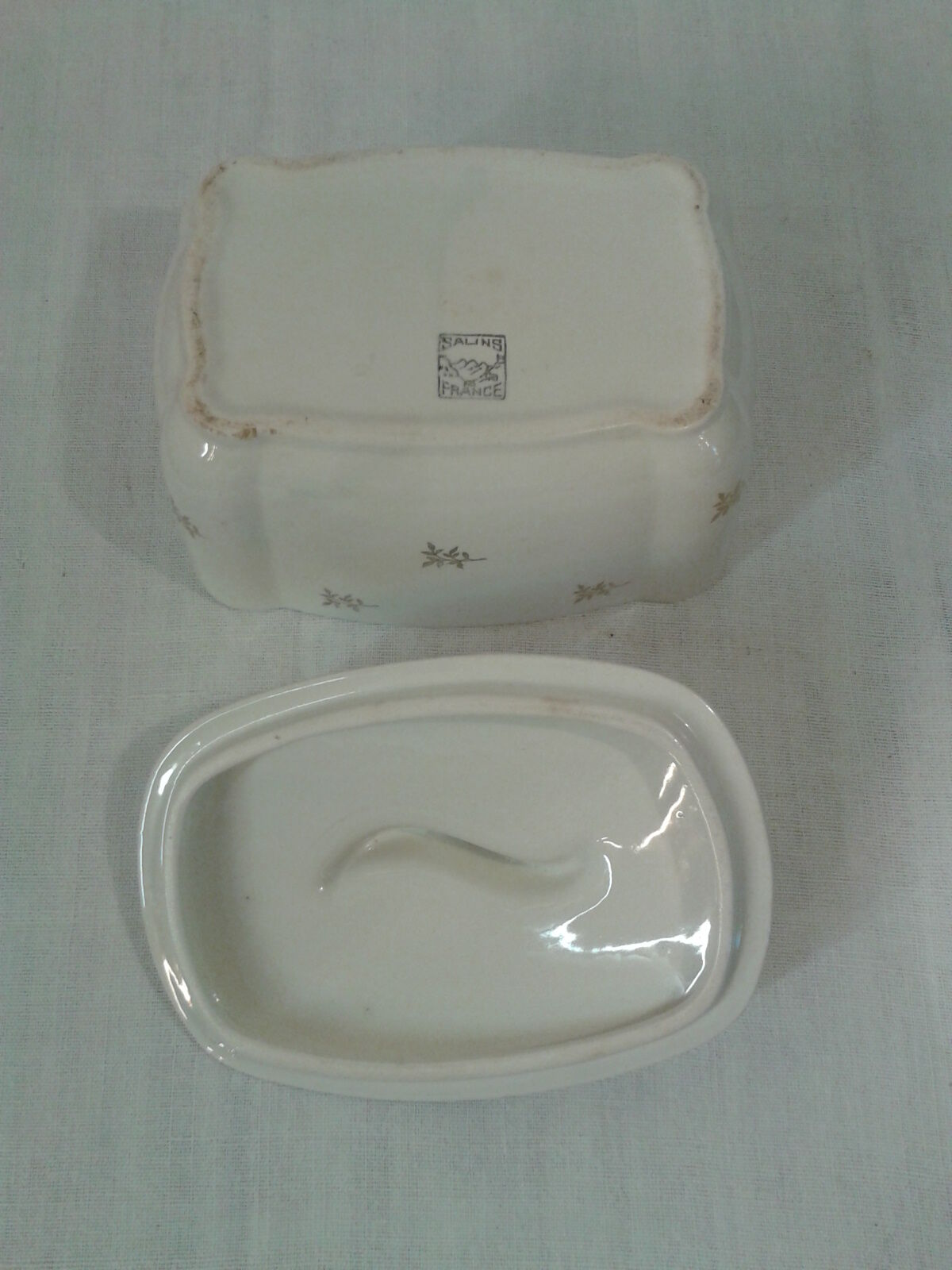 Box earthenware of Salins