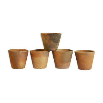 5 old terracotta pots