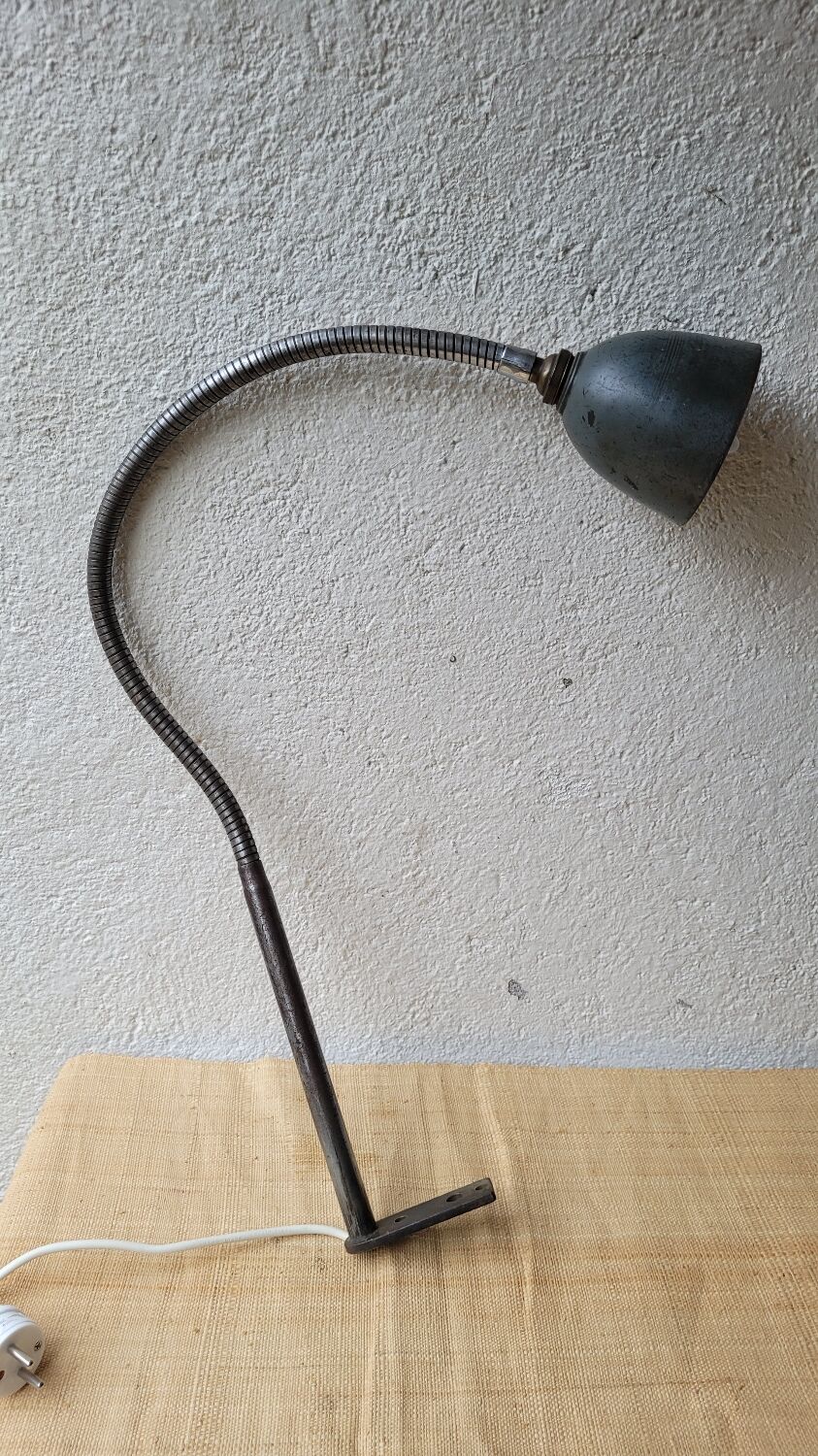 Articulated lamp workshop