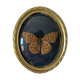 Butterfly under bulging frame