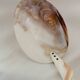 1920 French Antique Mother of Pearl and Shell Large Spoon