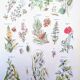 Printed in 1954, calming plants.