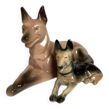 A pair of German shepherds.