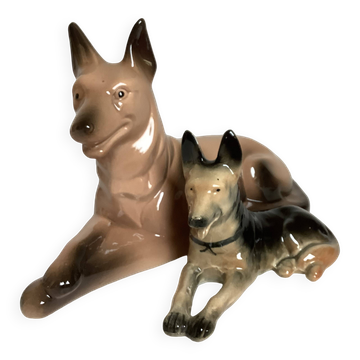A pair of German shepherds.