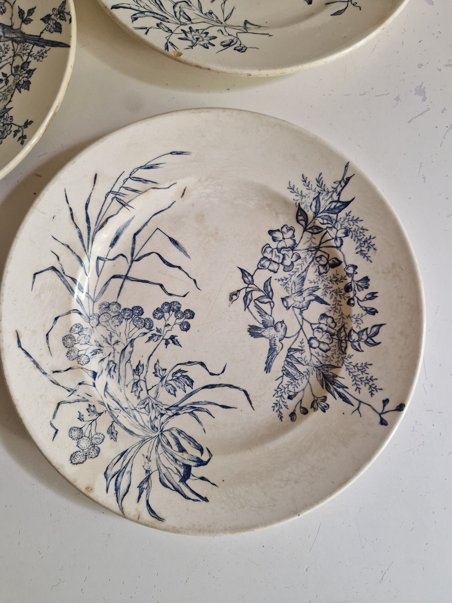 Lot De 9 Assiettes Plates Terre De Fer