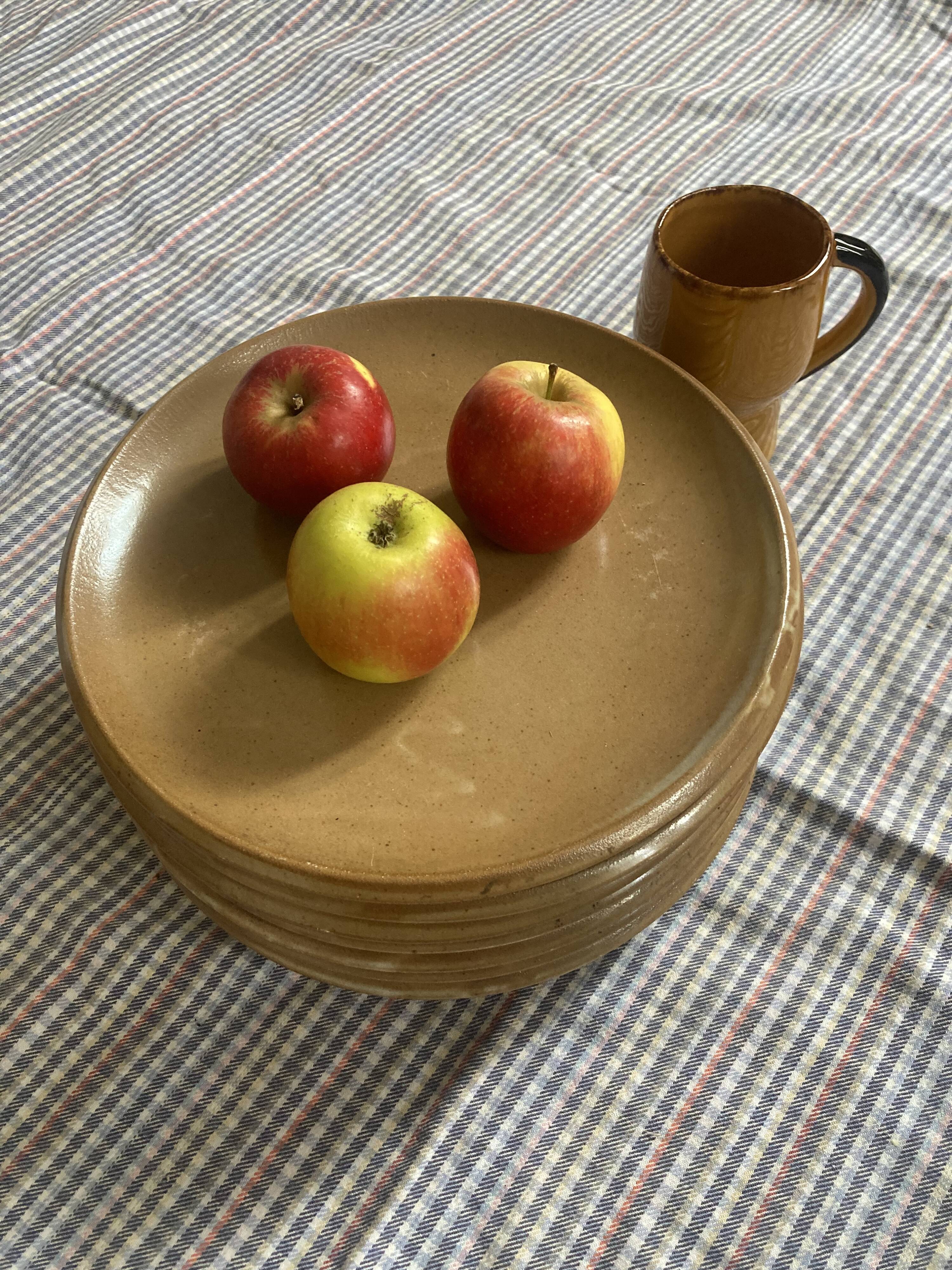 8 assiettes plates en grès de Berne vintage