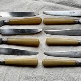 Service de 12 couteaux à dessert (ou fromage) corne et argent