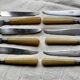 Service of 12 dessert (or cheese) knives in horn and silver.