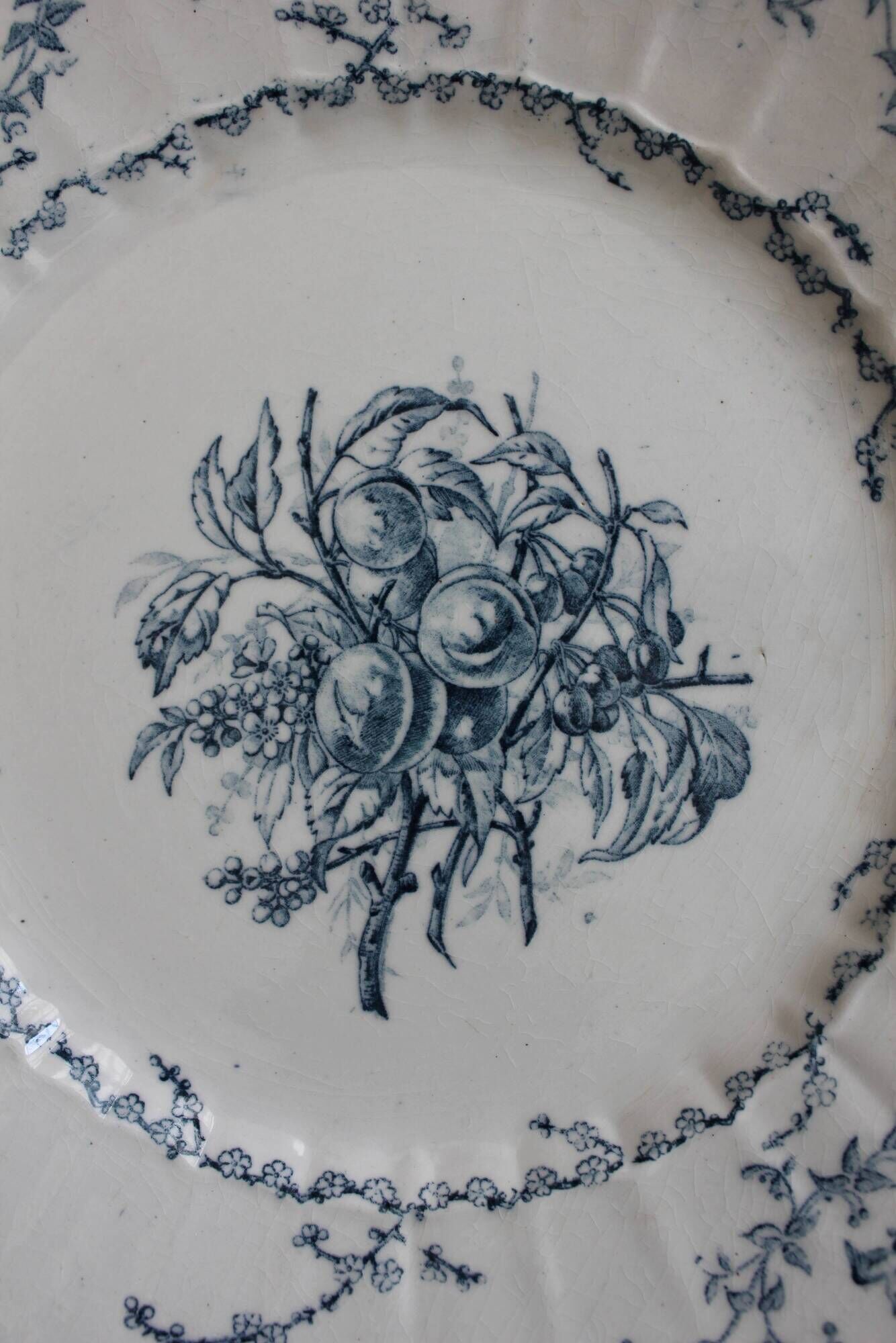 6 flat plates in iron earth Pompadour earthenware factory of Clairefontaine
