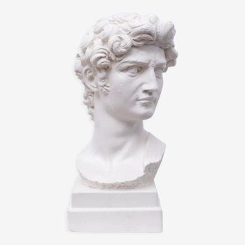 Tête David en plâtre blanc sculpture grecque romaine