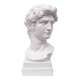 Head David in white plaster Roman Greek sculpture