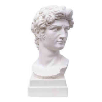 Head David in white plaster Roman Greek sculpture