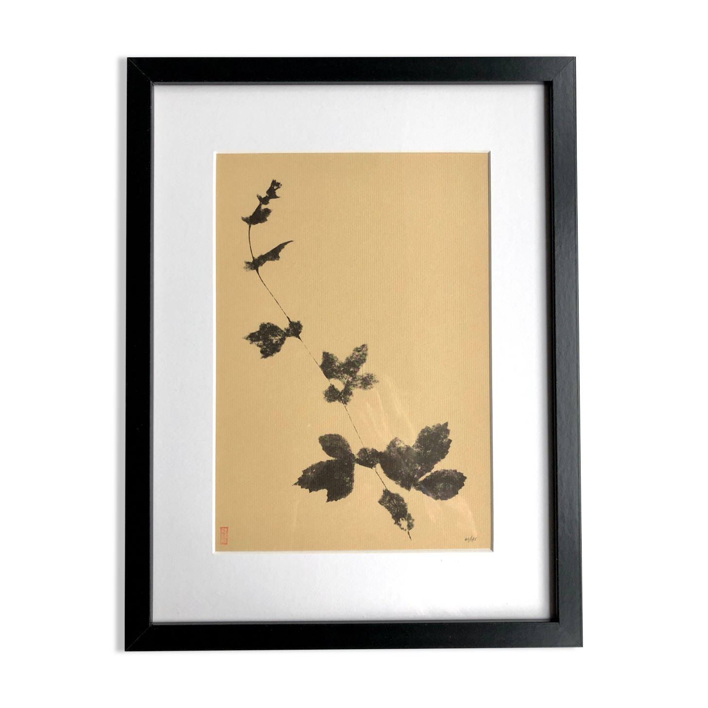 Framed lithograph - extract from the notebook "Les Natugraphies" - Albert de Visscher