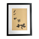 Framed lithograph - extract from the notebook "Les Natugraphies" - Albert de Visscher