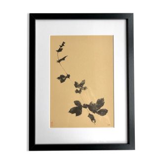 Framed lithograph - extract from the notebook "Les Natugraphies" - Albert de Visscher