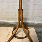 Baumann parrot coat rack