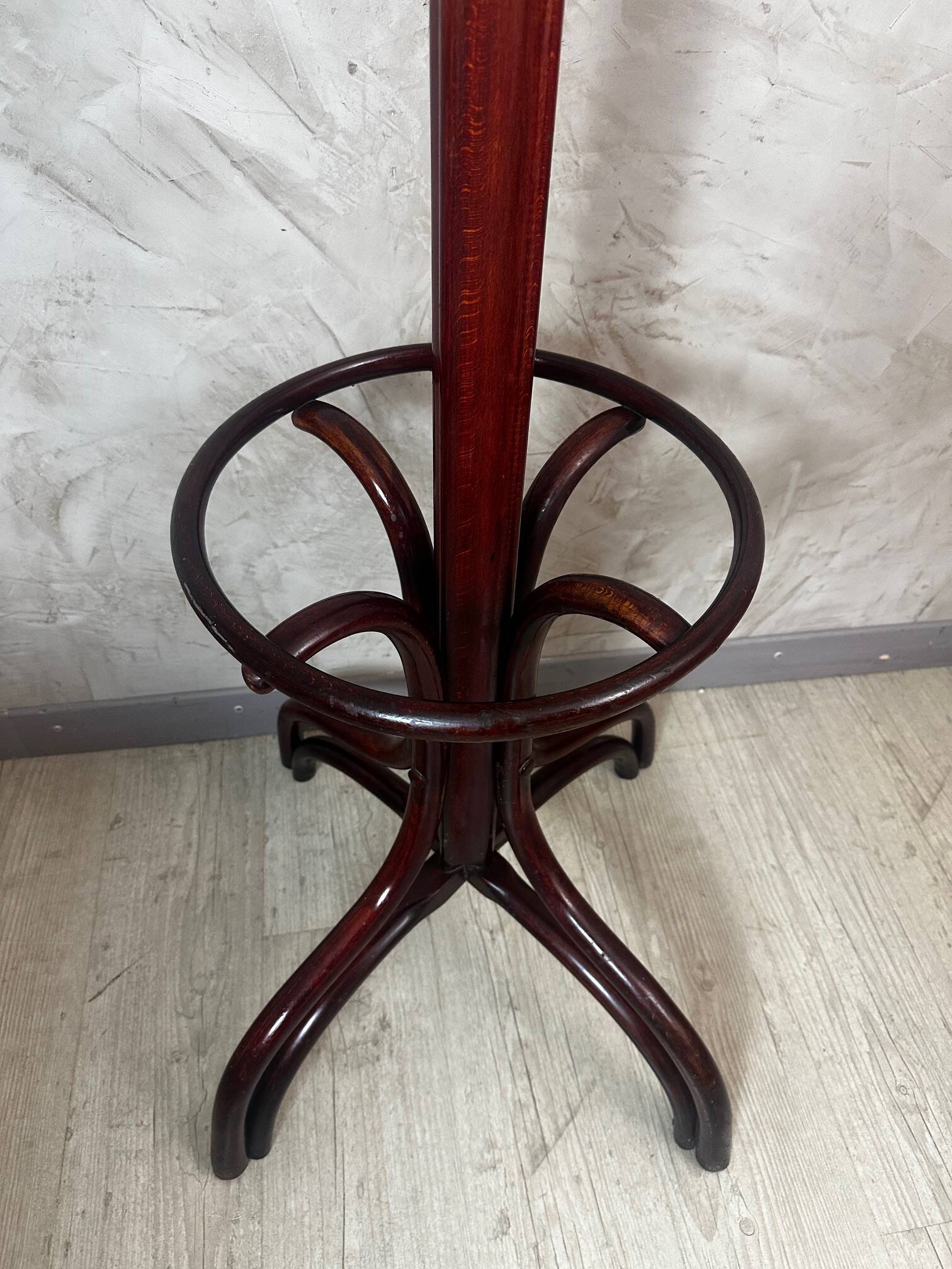 Parrot in the Thonet style