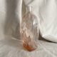 "Bird of Peace" bottle by Wayne Husted for Stelvia, 1960